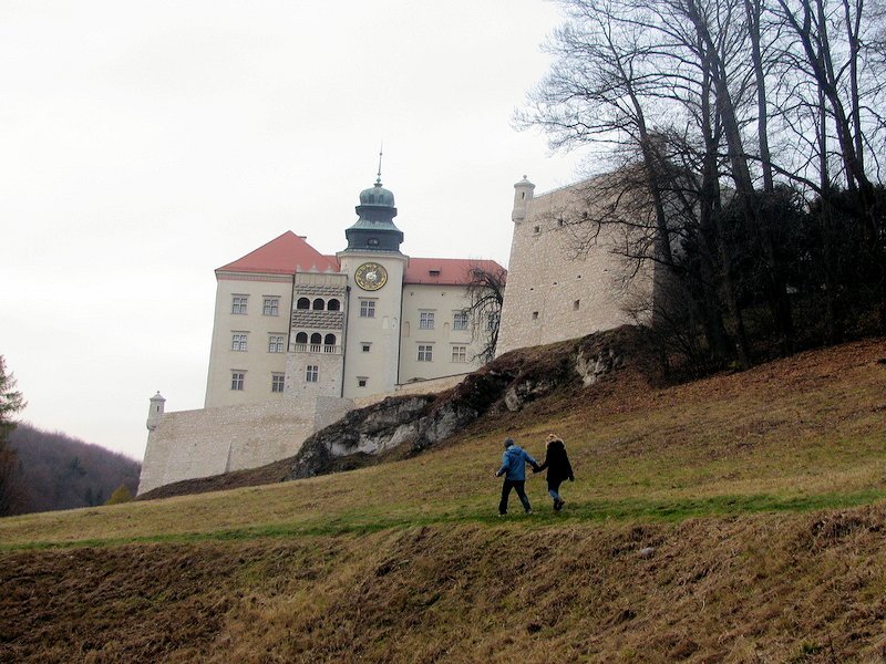 Perły architektury regionu olkuskiego